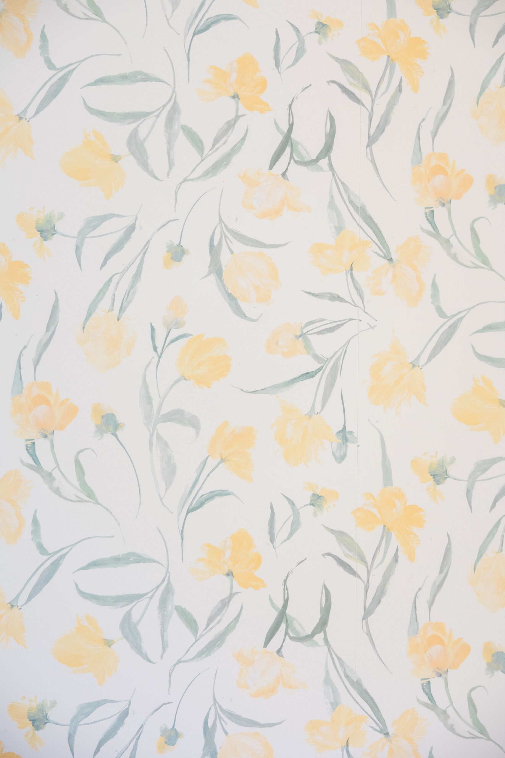 2024 Kolis Studio Party 9656 scaled 1