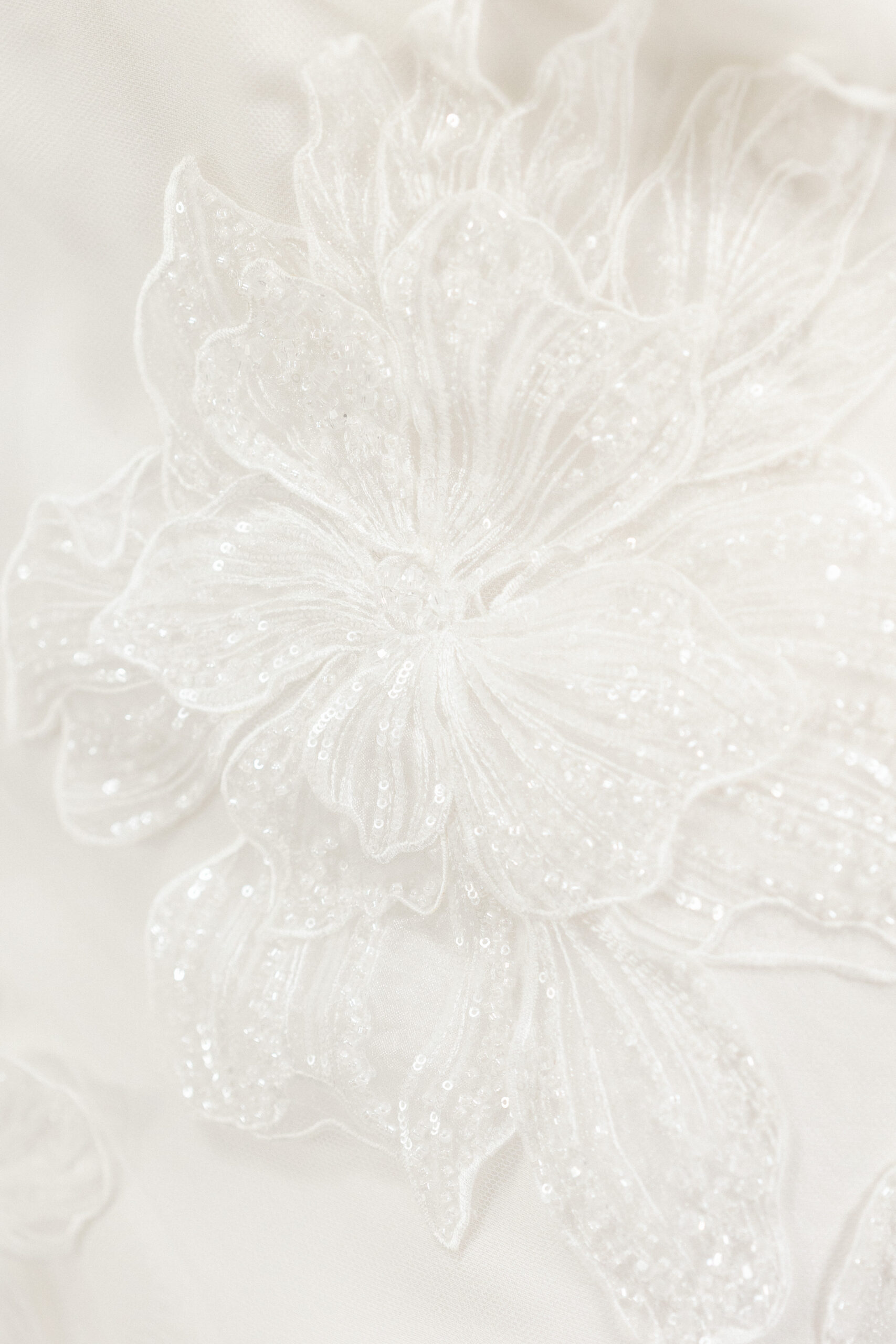 Angela’s Couture Bridal Photoshoot: A Dream Day in the Studio 72 2025 A Kolis Studio 5825 scaled 1